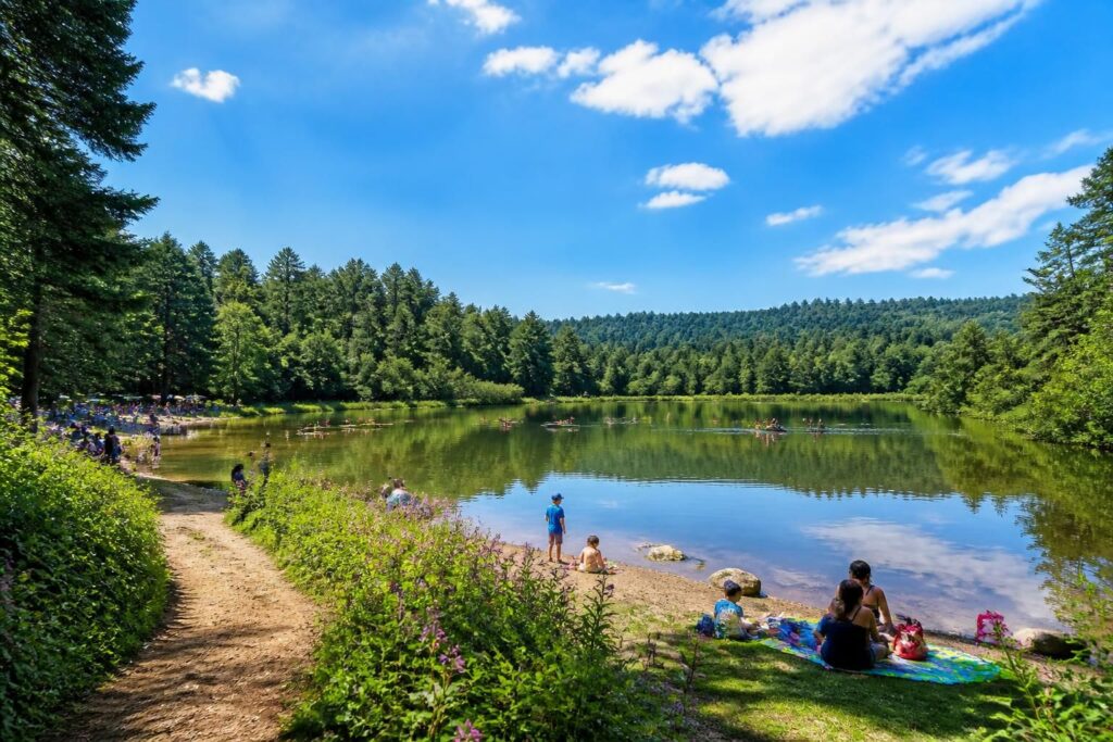 Découvrir le lac de lupiac : guide complet pour une visite réussie
