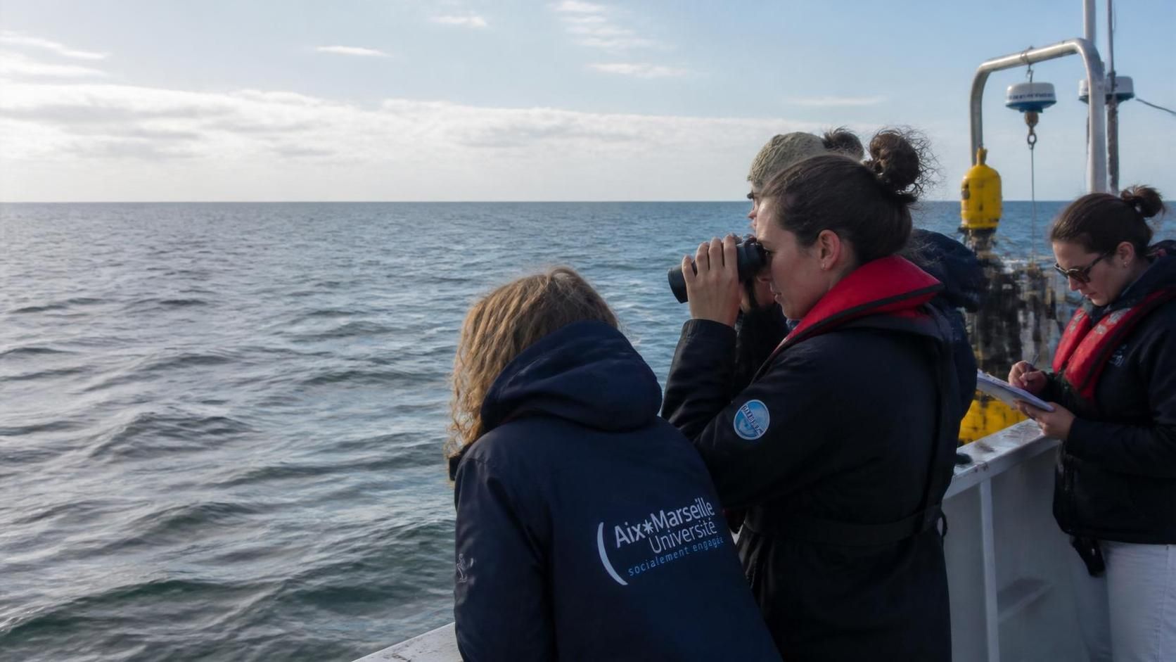 découvrez les enseignements uniques de 15 années passées en mer, vivre au rythme des marées et comprendre la force et la beauté de l'océan.