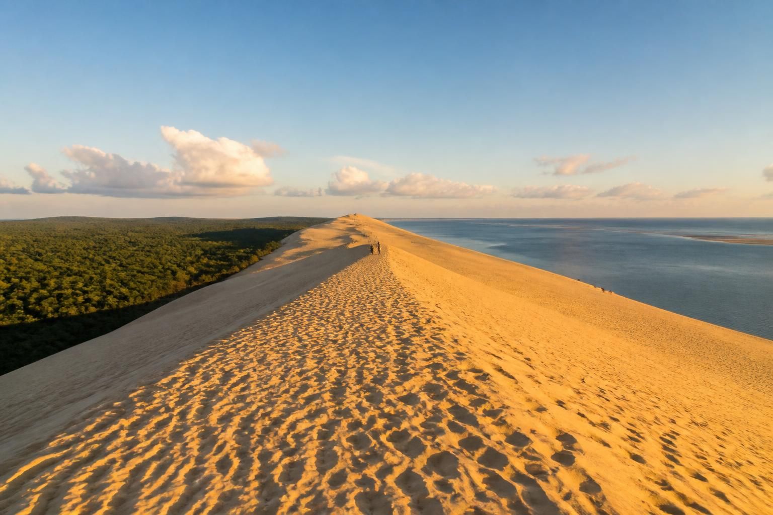 découvrez un panorama spectaculaire sur la majestueuse dune du pilat, le plus haut banc de sable d'europe, offrant des vues à couper le souffle sur l'océan atlantique et la forêt landaise.