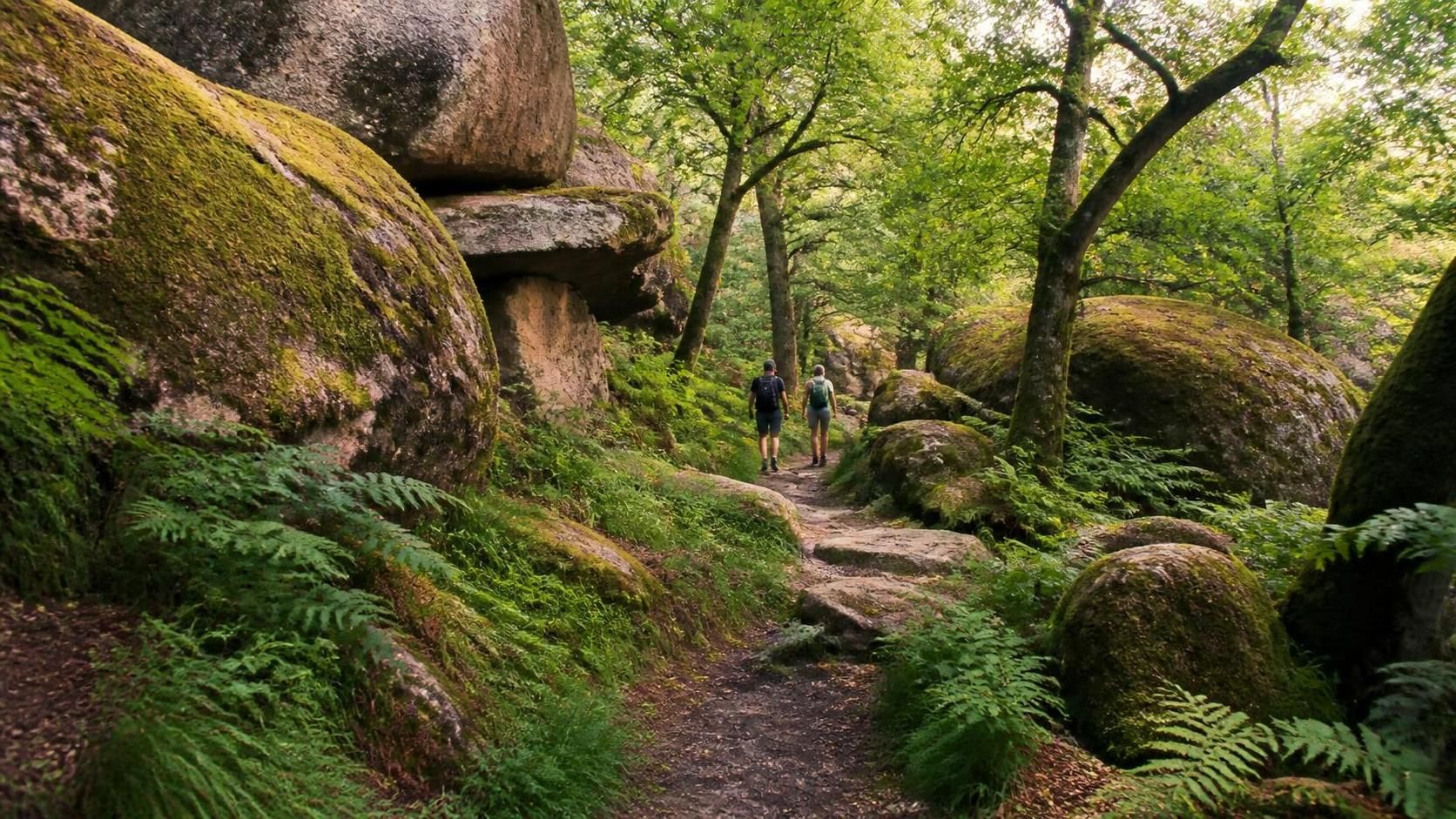 explorez la vallée magique des traouïéro à petits prix. découvrez nos tarifs attractifs pour une expérience inoubliable au cœur de la nature.